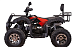 Квадроцикл YACOTA SELA 200 PRO 