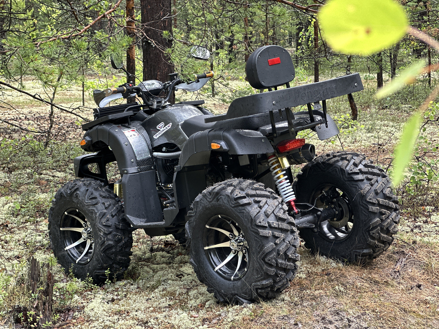 Квадроцикл PROMAX 320 DOMINATOR (2025)  Квадроцикл PROMAX 320 DOMINATOR (2025)