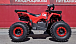 Квадроцикл PROMAX WILD 175 BASIC 