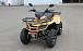 КВАДРОЦИКЛ IRBIS ATV 250 Premium  