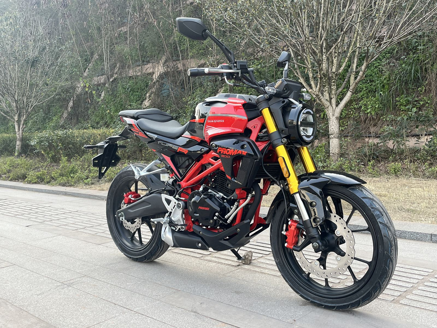 Мотоцикл PROMAX CB300 