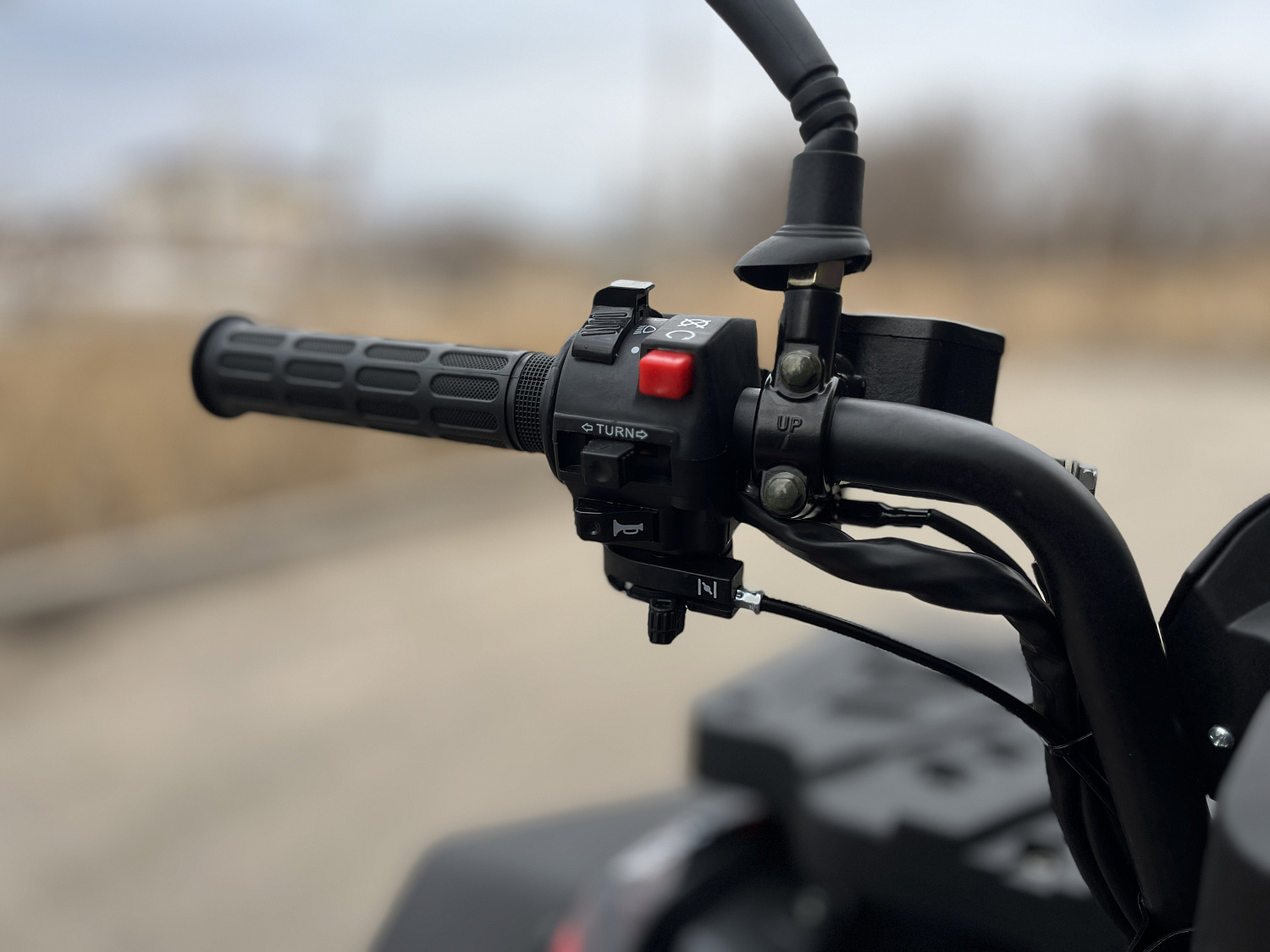 Квадроцикл PROMAX TAURUS 300 MAX-PRO LONG 