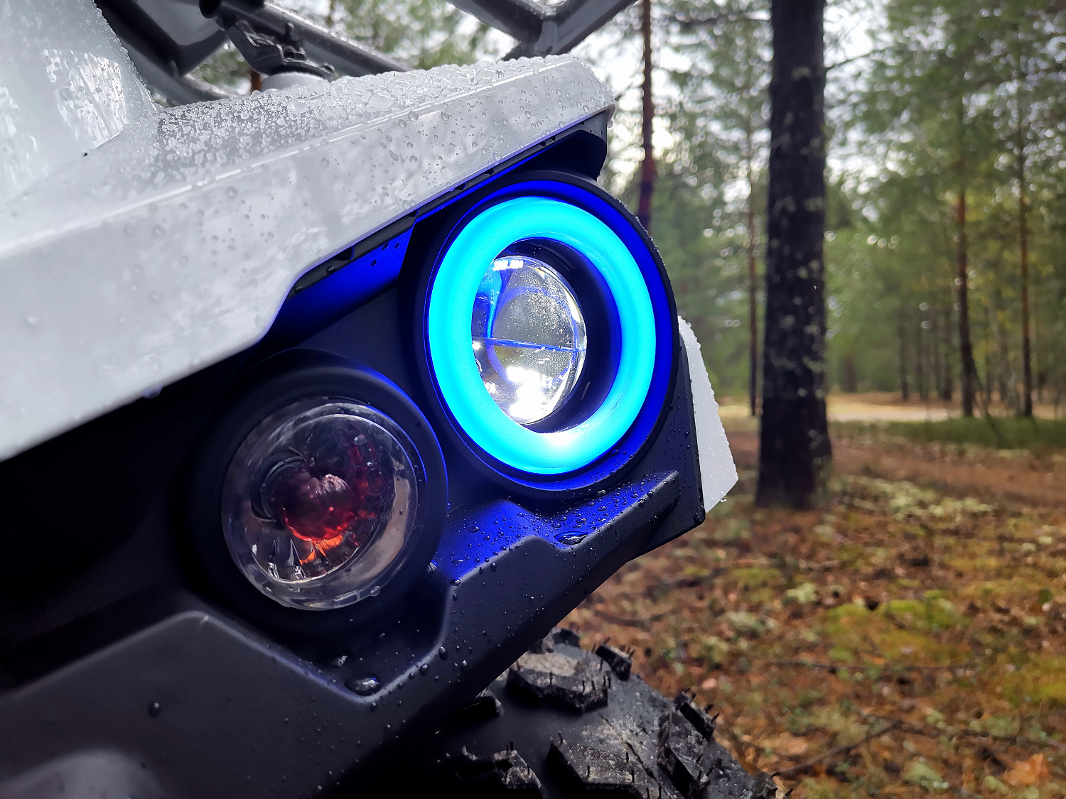 Квадроцикл PROMAX RENEGADE 280 (2025) 