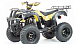Квадроцикл MOTOLAND (МОТОЛЕНД) 250 ADVENTURE 