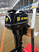 Лодочный мотор STELS 9.9HP  Лодочный мотор STELS 9.9HP