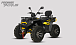 Квадроцикл PROMAX TAURUS 300 MAX-PRO LONG 