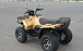 КВАДРОЦИКЛ IRBIS ATV 250 Premium  