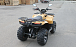 КВАДРОЦИКЛ IRBIS ATV 250 Premium  